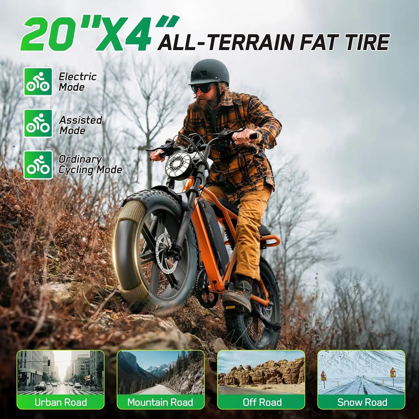 TST 1500W Electric Bike With Fat Tires For All Terrain