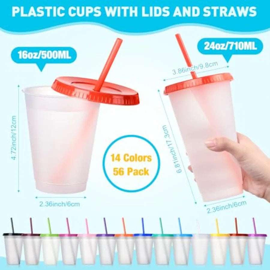 Reusable Plastic Clear Tumbler With Straw And Lid BPA Free