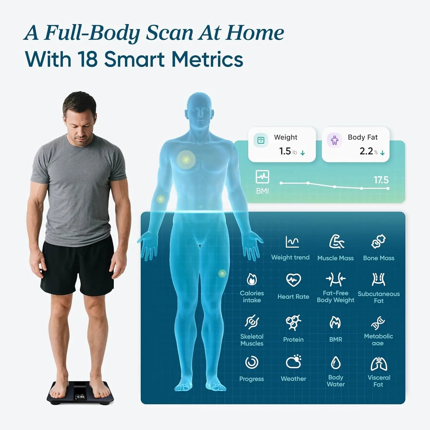 Smart Digital Bathroom Scale for Body Weight, Fat, BMI