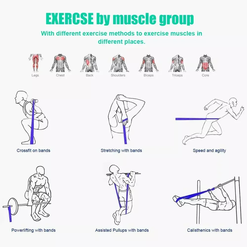 NONE 5-125lbs TPE Resistance Bands For Home Fitness