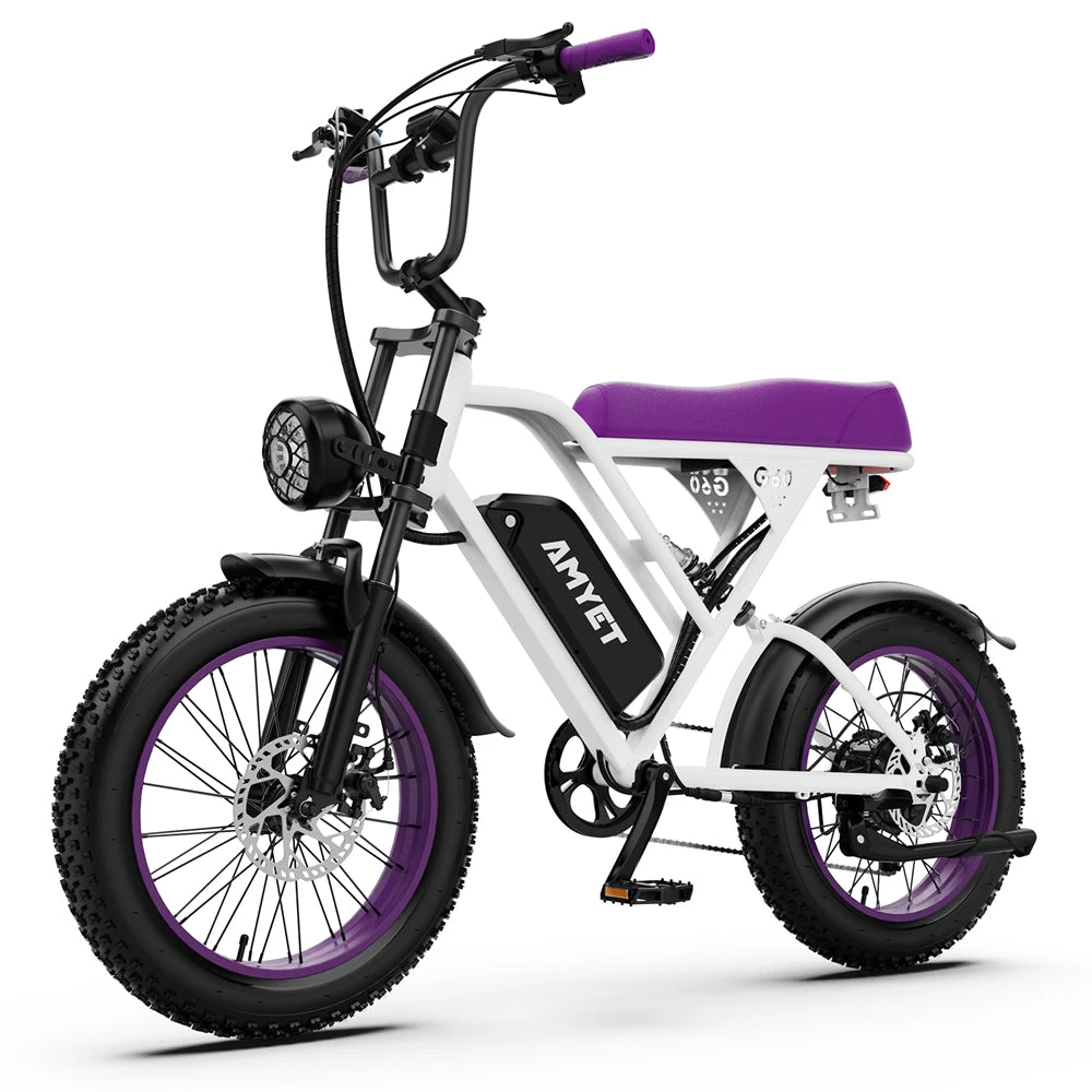 Amyet 1000W Electric Bike 48V Lithium Battery Mountain Ebike