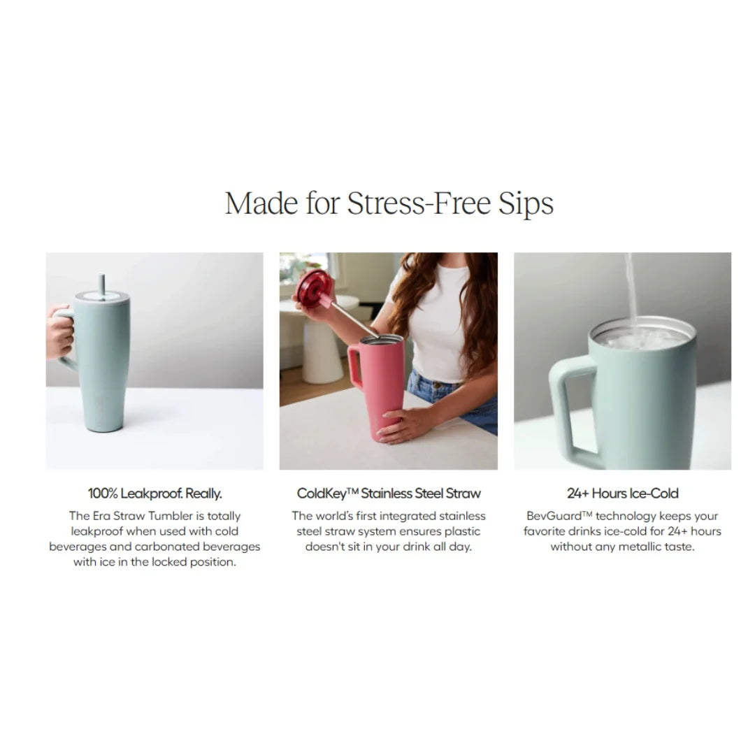 Aura Insulated Stainless Steel Tumbler With Handle